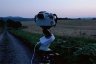 Компактная монтировка Sightron nano.tracker 4