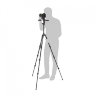 Штатив Manfrotto Befree MKBFRLA4BK-3W с головой 3-Way Live, алюминиевый 2