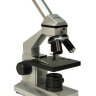 Цифровой микроскоп Bresser Junior 40x-1024x (без кейса) (26753) - фото 1