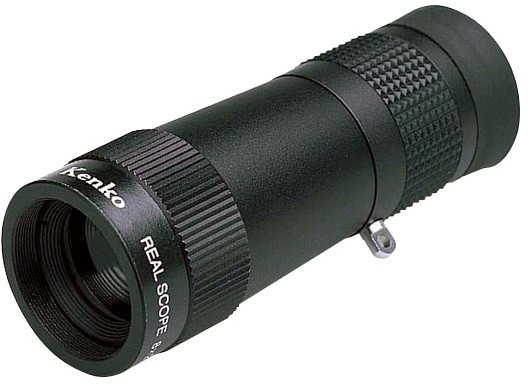 Монокуляр Kenko Real Scope 8x20 (100094) - фото 1