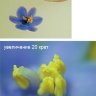 Подставка Kenko Micro Lens Stand (142182) - фото 6
