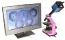 Камера для микроскопа ToupCam Xcam0720P-H HDMI (TPX00720A) 5