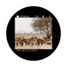 Цифровая камера Veber DigiView NB-02 12