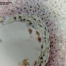 Камера для микроскопа ToupCam SCMOS05000KPA (TP505000A) - фото 6