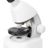 Микроскоп Discovery Micro Polar с книгой (77952) - фото 1
