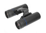 Бинокль Sturman 8x21 FF 2