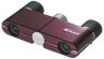 Бинокль Nikon 4x10 DCF бургунди (BAA752AA) Бинокль Nikon 4x10 DCF бургунди (BAA752AA) 1